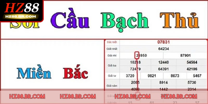 Soi cầu bạch thủ dự đoán con số duy nhất xuất hiện