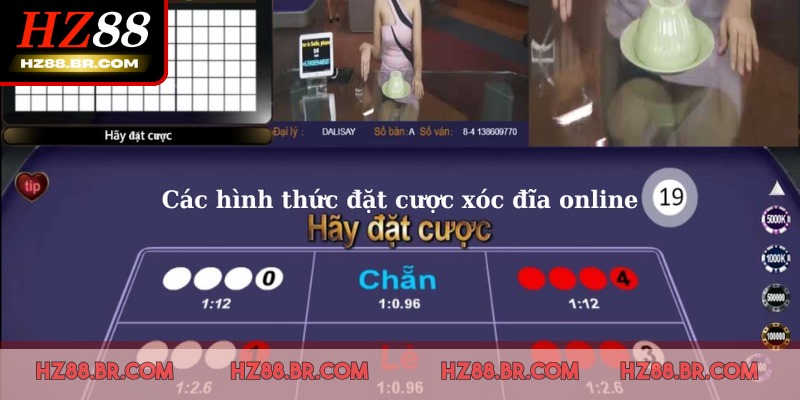 Xóc Đĩa Online – Trải Nghiệm Giải Trí Bùng Nổ Mỗi Ngày 3 Các tùy chọn cược đa dạng cho game thủ